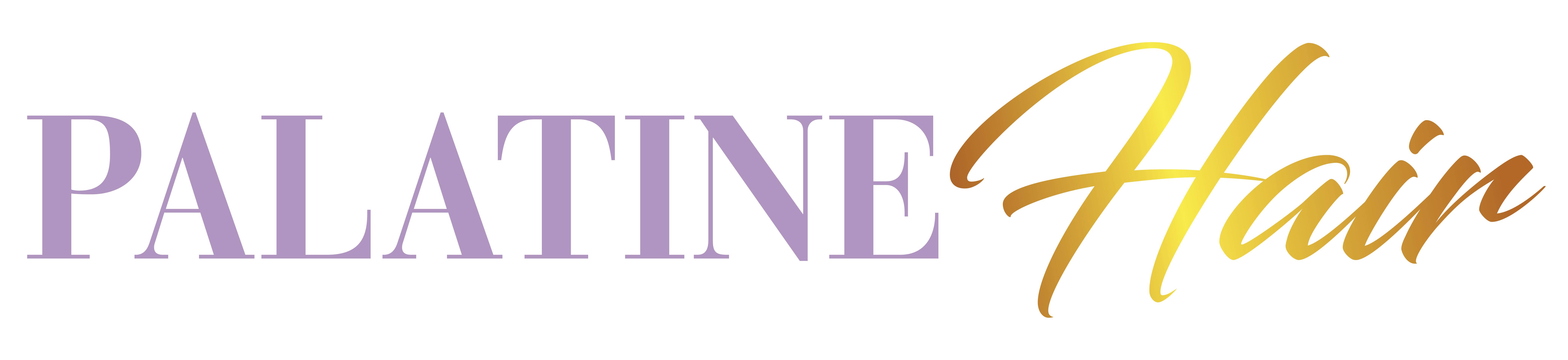 Salon Centric Palatine - oioaikt